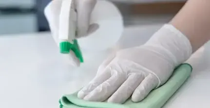 nettoyage locaux Caudan-2